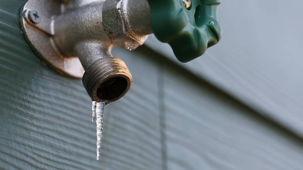 Best Residential Plumbing Services  in Delmar, MD